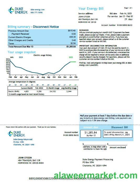 USA Duke Energy utility bill template in Word and PDF formats, version 2